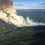 High temperatures raising concerns about wildfires, Report