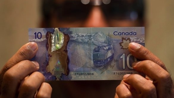 Hitesh Doshi spots error with mountain on $10 bill