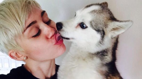 Miley Cyrus Honors Her Late Dog Floyd with New Tattoo