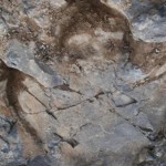 Researchers Discover Thousands of Dinosaur Footprints in Alaska