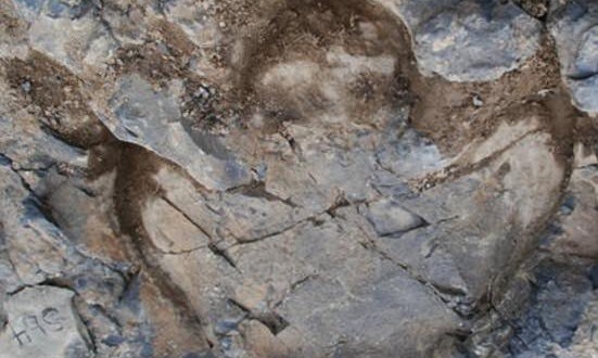 Researchers Discover Thousands of Dinosaur Footprints in Alaska