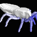 Researchers simulate the gait of ancient arachnid