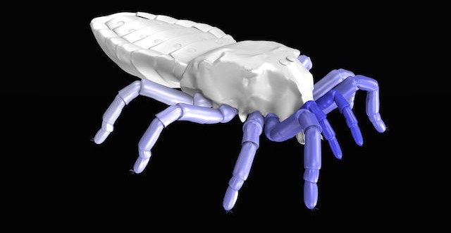 Researchers simulate the gait of ancient arachnid