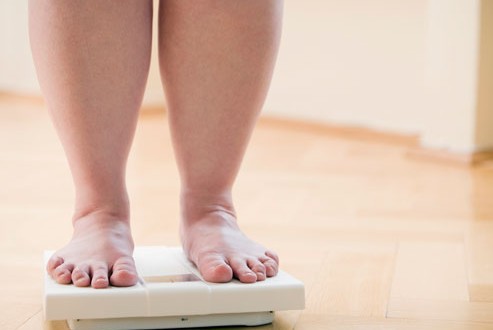 Scientists move one step closer to a probiotic that prevents obesity