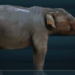 The Gomphotheres: Elephant Ancestor May have Lived Longer Than Once Thought