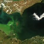 Toxic algae will make its way to Lake Erie later this summer, Report
