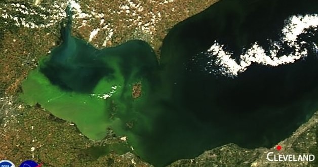 Toxic algae will make its way to Lake Erie later this summer, Report