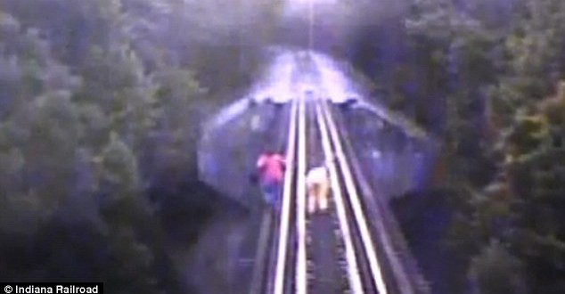 Two women run over by train…and survive (Video)