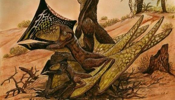 Ancient Flying reptiles' elaborate “head dresses” discovered