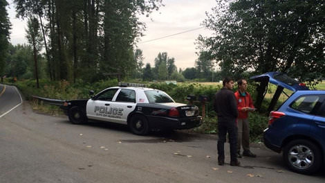 Auburn police continue searching field