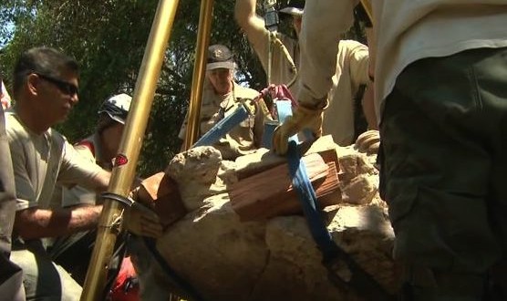 California : 16 million-year-old whale fossil has been retrieved