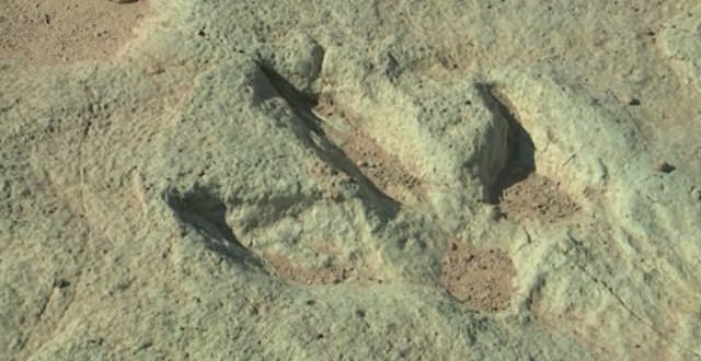 Dino Tracks Discovered in Utah (Video)