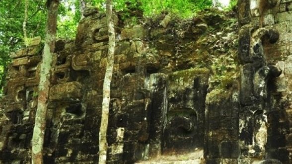 Mayan Cities Discovered in Mexican Jungle (Photo)
