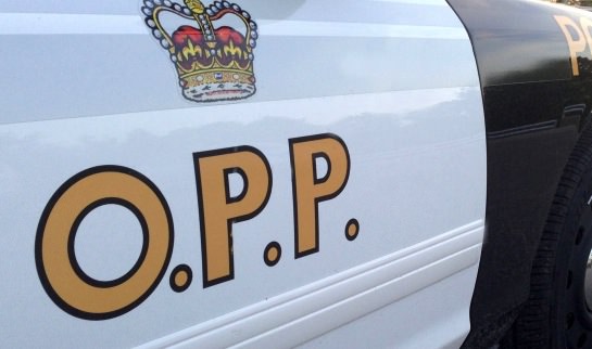 OPP : Minivan clocked at 171 km/h on Highway 401