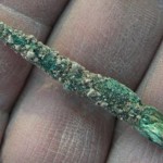Oldest Metal Object Found in Middle East