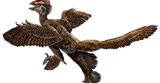 Researchers map evolution of dinosaurs to birds