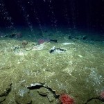 Researchers study release of methane from Atlantic Ocean floor