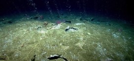 Researchers study release of methane from Atlantic Ocean floor