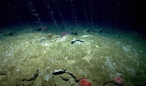 Researchers study release of methane from Atlantic Ocean floor