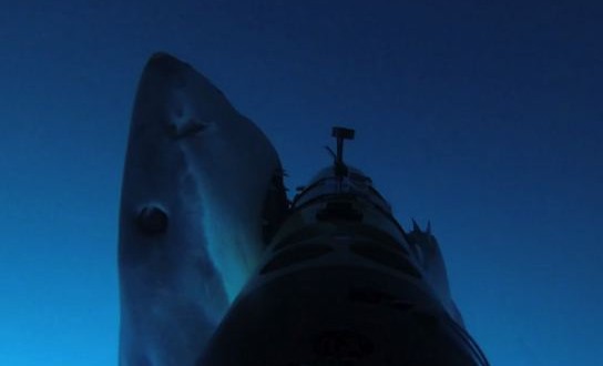 Watch great white sharks hunt an underwater robot (Video)