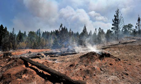 Wildfire emergency in California, Report