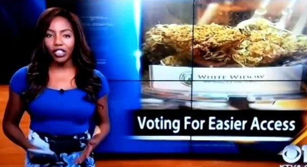 Charlo Greene Reporter quits on air, reveals she owns cannabis club (Video)
