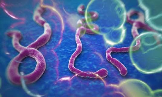 Ebola case reported in Miami