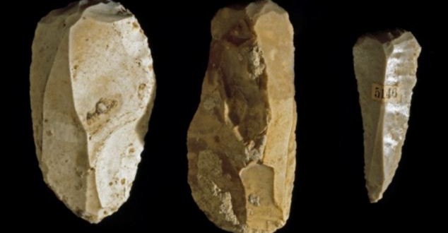 Experts take new perspective on Stone Age tools, Study