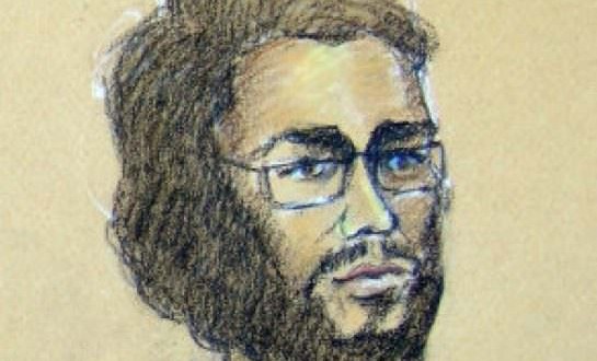 Hiva Alizadeh : Ottawa man pleads guilty in terrorism-related case