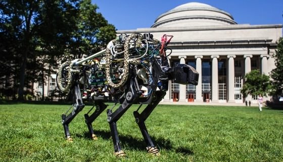 MIT Scientists Create Running, Jumping Robot Cheetah (Video)