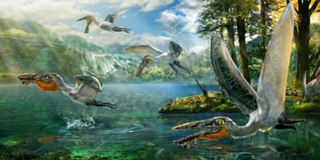 Ikrandraco avatar : Ancient Flying Reptile Ate Like a Toothy Pelican