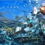 Ocean holds garbage patches twice as big as texas, new study finds