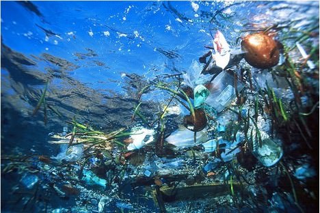 Ocean holds garbage patches twice as big as texas, new study finds