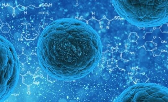 Researchers call for investigation of mysterious cloud-like collections in cells