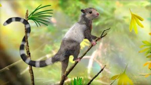 Researchers discover 3 new mammals that lived alongside dinosaurs