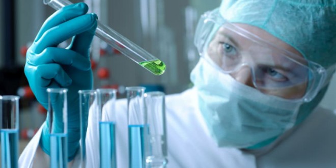 Researchers 'reset' stem cells to study start of human development