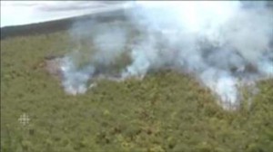 Researchers say Kilauea lava flow could reach Pahoa road in 16 days