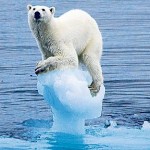 Scientists call for widening the debate on climate change