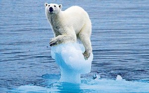 Scientists call for widening the debate on climate change
