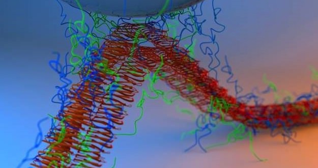 Shellfish-inspired glue sticks even in water : research