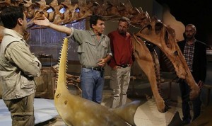 Spinosaurus: Skeleton of giant water-living Dinosaur unveiled in Morocco