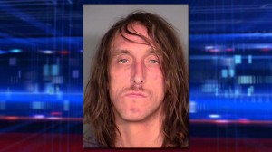 Stratosphere Crash Driver Commits Suicide