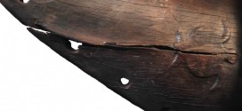600-year-old canoe found in new zealand