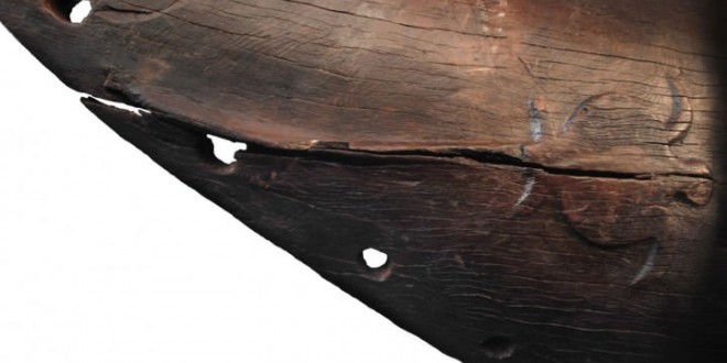 600-year-old canoe found in new zealand (Photo)