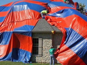 6,000 Venomous spiders force family from Missouri home