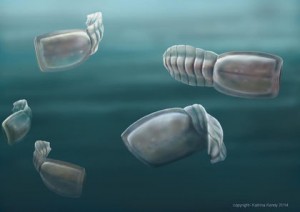Ancient fossils confirmed among our strangest cousins, research