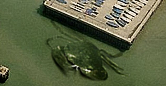 Crabzilla