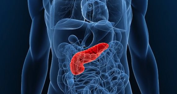 Early detection window when pancreatic cancer is in the family, New Study