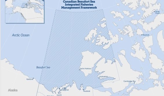 Federal government restricts new Beaufort Sea fisheries, Report