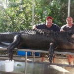 Florida Men Capture 'Lumpy,' a 765-Pound Alligator